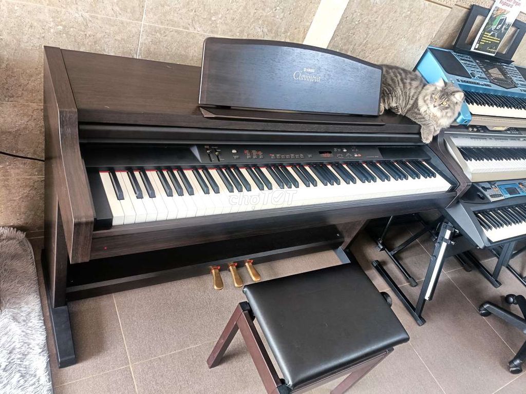 Đàn piano yamaha clp-840