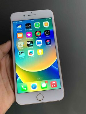 Iphone 8 Plus 64GB Zin Full. Mua bán Điện thoại tại Thành phố Phan Thiết Bình Thuận được đăng bởi Minh Thư