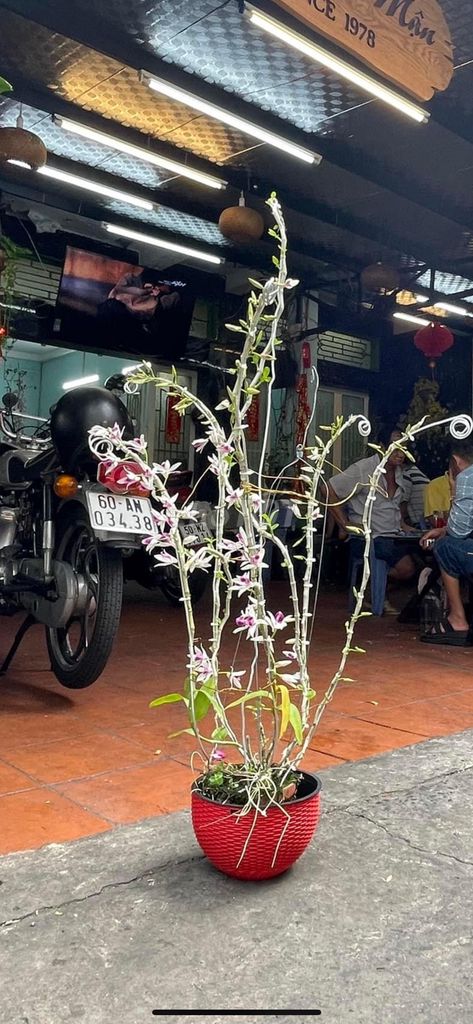 Cần bán nhà gấp. Mua bán nhà ở tại Quận 4 Tp Hồ Chí Minh được đăng bởi Quế Anh Nguyễn thị hình 4