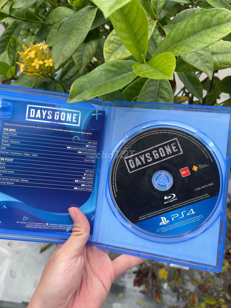 ✅ Đĩa Ps4 Days Gone