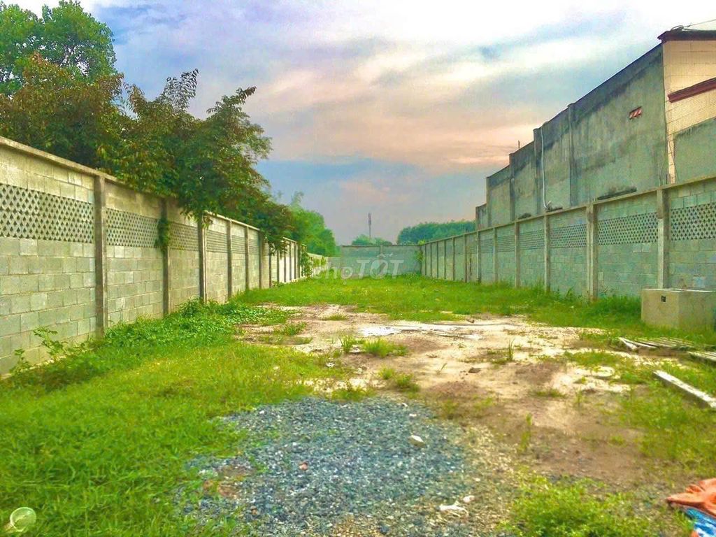 BÁN 1109M ĐẤT ( CÓ 300M THỔ CƯ ) MẶT TIỀN ĐƯỜNG NGUYỄN THỊ RÀNH, SHR. Mua bán đất tại Huyện Củ Chi Tp Hồ Chí Minh được đăng bởi TRẦN KIM HUỆ hình 1