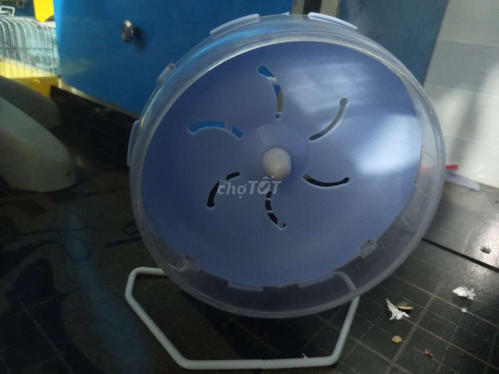 Vòng chạy nhựa xanh dương cho thú cưng. Mua bán Phụ kiện, Thức ăn, Dịch vụ tại Quận Sơn Trà Đà Nẵng được đăng bởi Suzuki Asahi hình 1