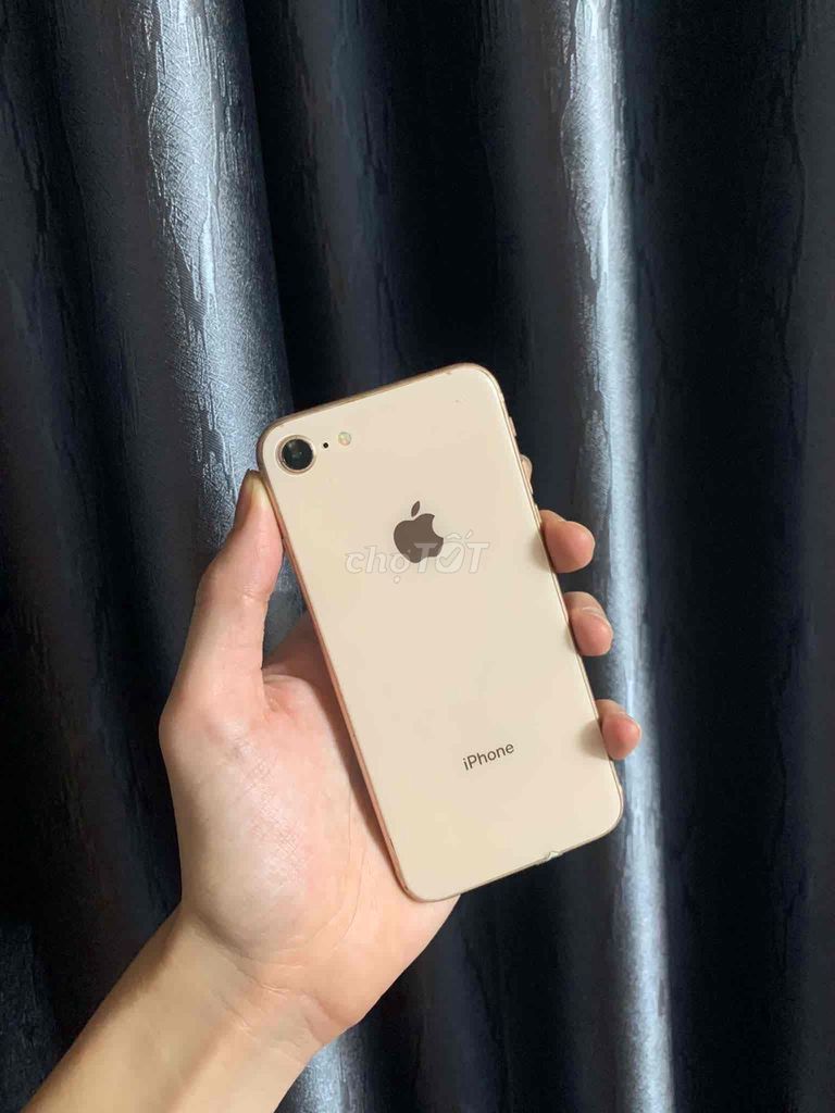 iPhone 8G QT 64GB Vàng 80%. Mua bán Điện thoại tại Thị xã Sơn Tây Hà Nội được đăng bởi Khánh Đan hình 1