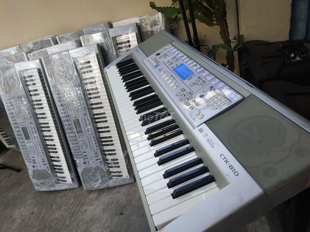 0902302141 - Lô ORGAN Casio LK810 sỉ, lẻ. Chuẩn 61 phím