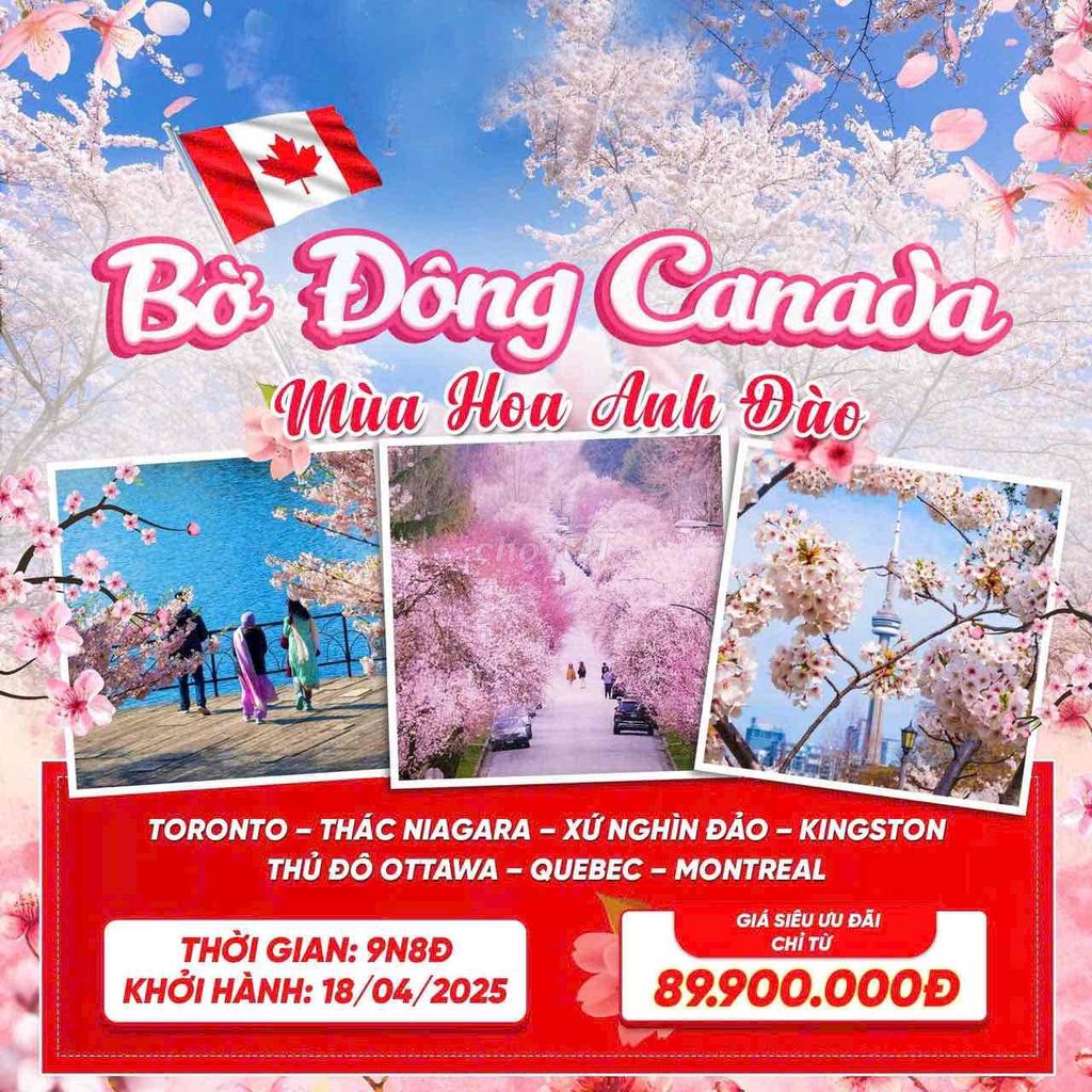 TOUR CÁC TUYẾN CANADA