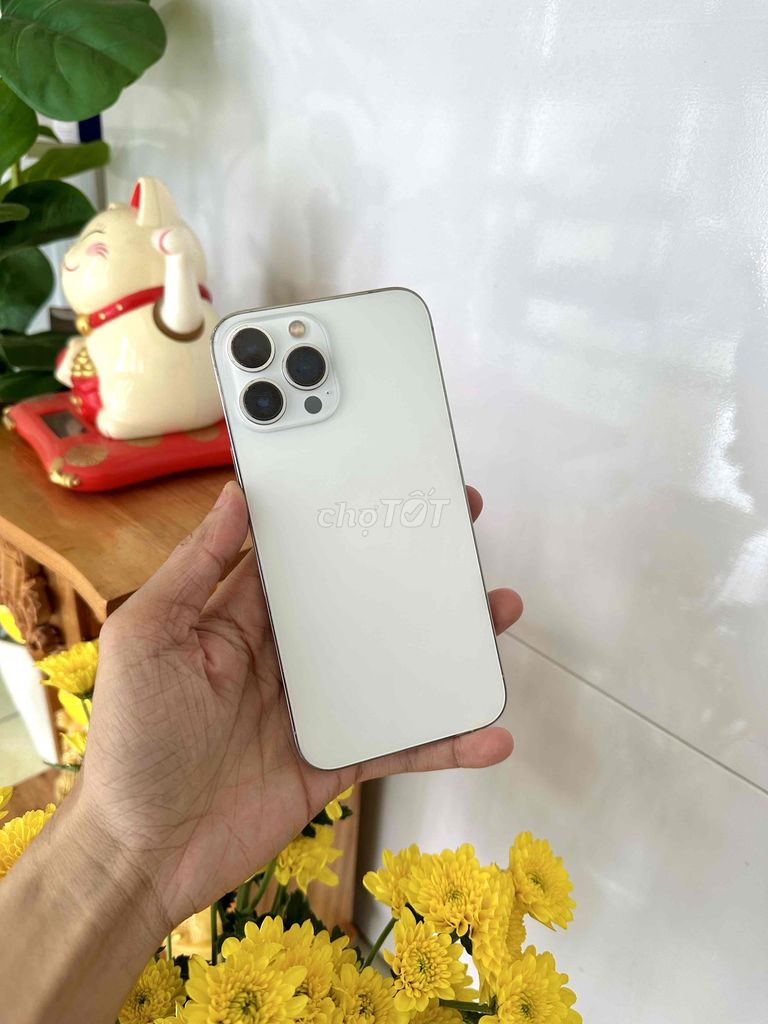 Apple iPhone 13 Pro Max 256GB Trắng. Mua bán Điện thoại tại Thành phố Long Xuyên An Giang được đăng bởi phong LX  hình 1