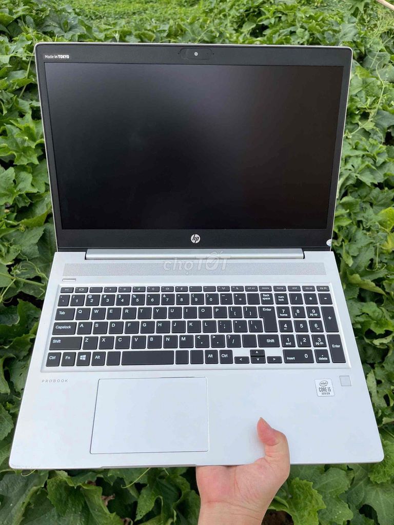 HP ProBook 450 G7 i5 8GB/256GB. Mua bán Laptop tại Huyện Việt Yên Bắc Giang được đăng bởi Lương Bích Luyên  hình 1