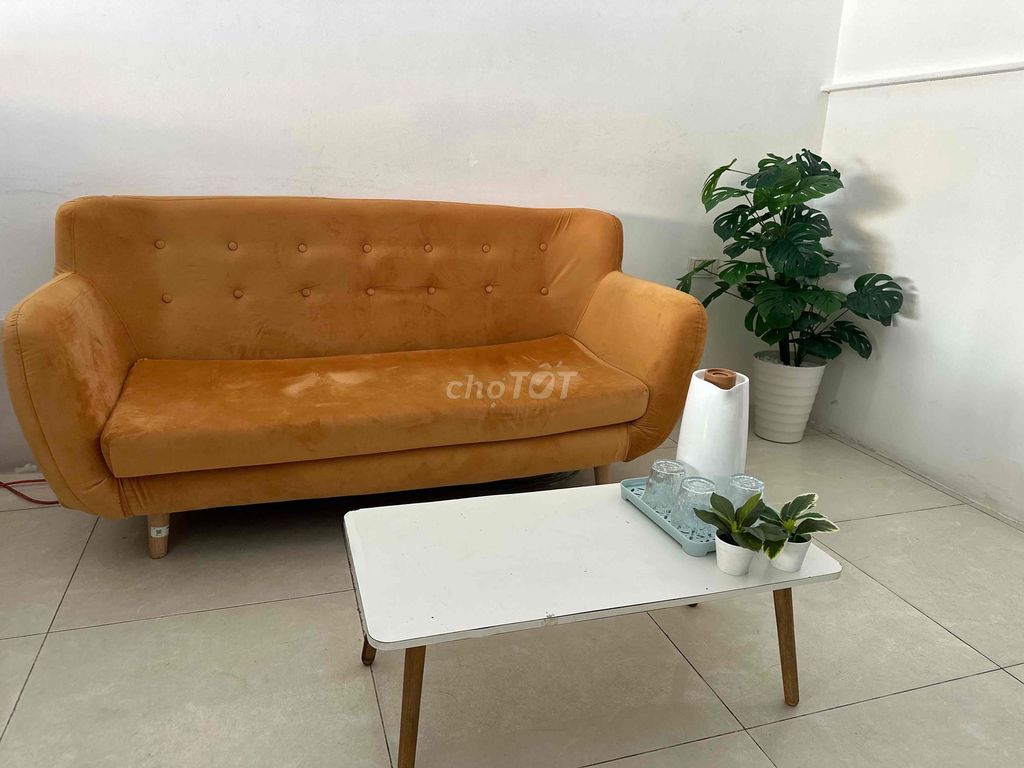 SOFA VĂNG 1M6 MỚI - TẶNG BÀN TRÀ. Mua bán Bàn ghế tại Quận Long Biên Hà Nội được đăng bởi TH hình 1