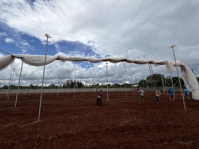 TUYỂN CÔNG NHÂN CHĂM SÓC FARM