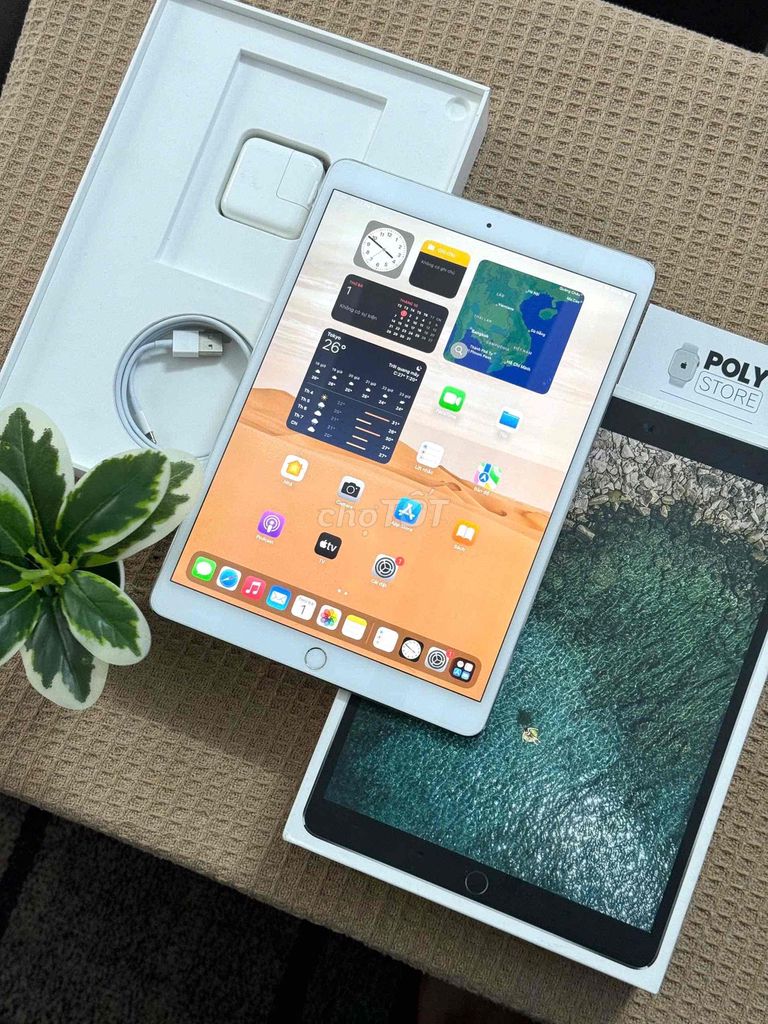 📱 𝐈𝐏𝐀𝐃 𝐏𝐑𝐎 𝟏𝟎.𝟓” 𝟏𝟐𝟎𝐇𝐙 𝐆𝐑𝐀𝐘, 𝐖𝐈𝐅𝐈, 𝟒𝐆. Mua bán Máy tính bảng tại Quận Bình Tân Tp Hồ Chí Minh được đăng bởi POLY STORE APPLE hình 1