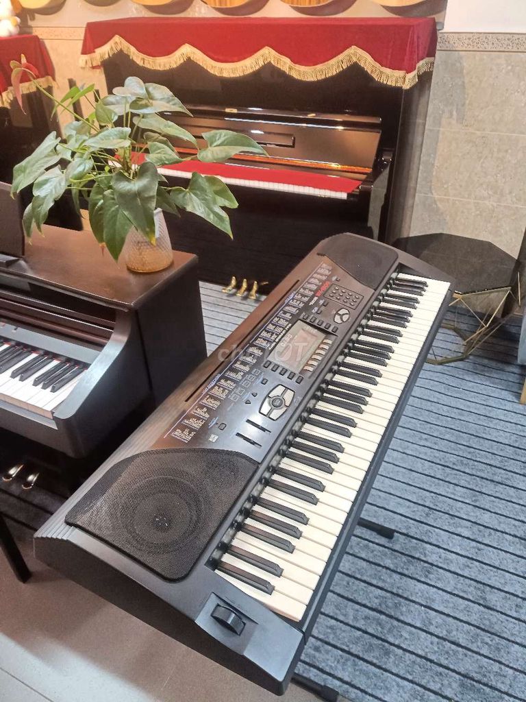 Đàn Organ Casio WK-1300. Mua bán Nhạc cụ tại Quận Tân Phú Tp Hồ Chí Minh được đăng bởi Dương Thụ hình 1