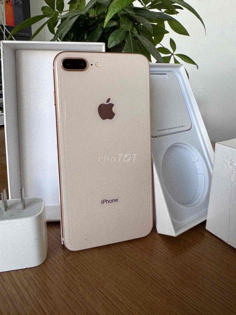 iPhone 8 Plus 64GB Vàng zin óc pin 84%.. Mua bán Điện thoại tại Quận Ninh Kiều Cần Thơ được đăng bởi Khải mobile hình 1