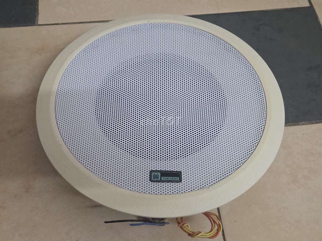 Loa âm trần YunYang 8 inch. Mua bán Tivi, Âm thanh tại Quận 8 Tp Hồ Chí Minh được đăng bởi Anh hình 1