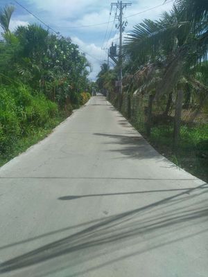 Cần bán 2712m2 đất có 300m2 thổ cư. Mua bán đất tại Thành phố Bến Tre Bến Tre được đăng bởi Tran Thu Nhan