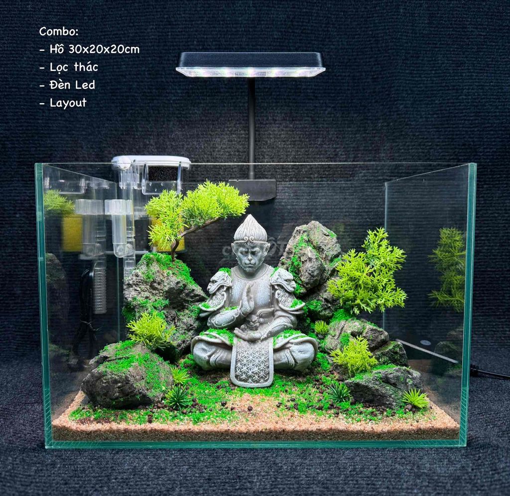 Bể cá cảnh mini 30x20x20cm layout ngộ không. Mua bán Phụ kiện, Thức ăn, Dịch vụ tại Quận Hải Châu Đà Nẵng được đăng bởi Nam H hình 1