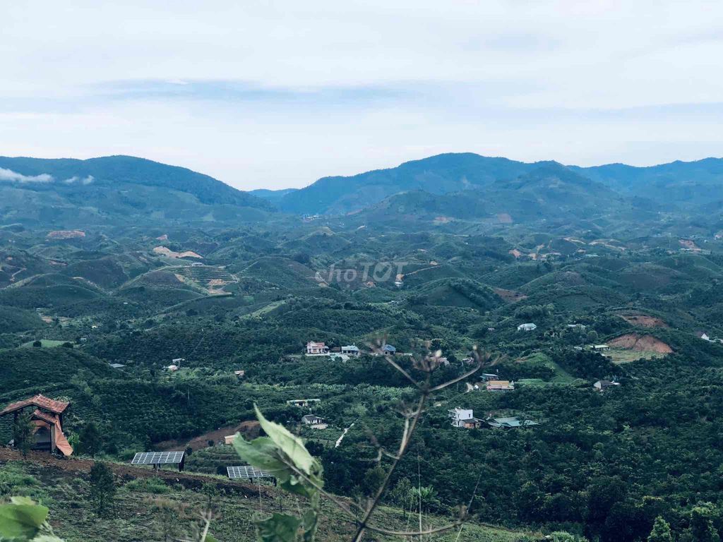 700tr - 1 sào Săn mây  view thôn 10 Lộc Thành - Bảo Lâm - Lâm Đồng