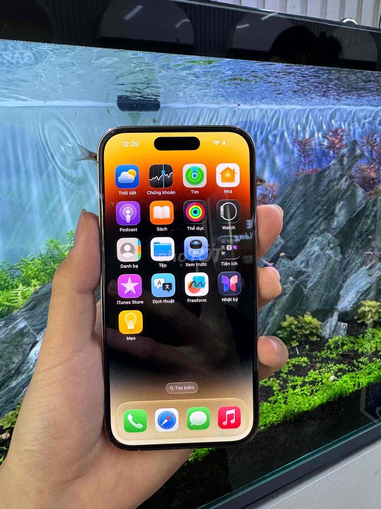 Thanh lý iPhone 14 Pro 128GB Vàng LL/A nguyên zin. Mua bán Điện thoại tại Quận Ninh Kiều Cần Thơ được đăng bởi Cường Thịnh store hình 1