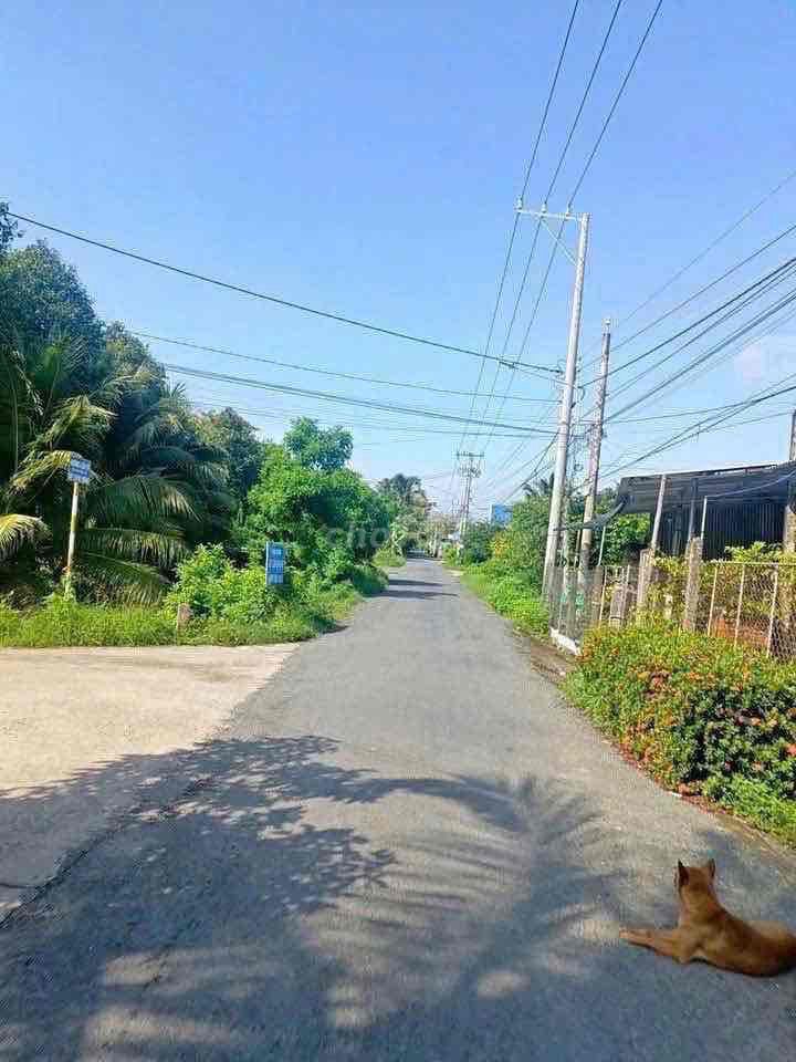 CẦN BÁN GẤP NHÀ VƯỜN CÂY TRÁI