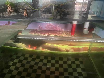 nhà chật cần ra đi gấp hồ như hình. Mua bán Phụ kiện, Thức ăn, Dịch vụ tại Huyện Hóc Môn Tp Hồ Chí Minh được đăng bởi Trong Ha
