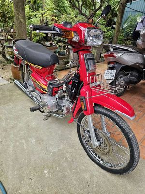 dream thái dọn kiểng cần bán