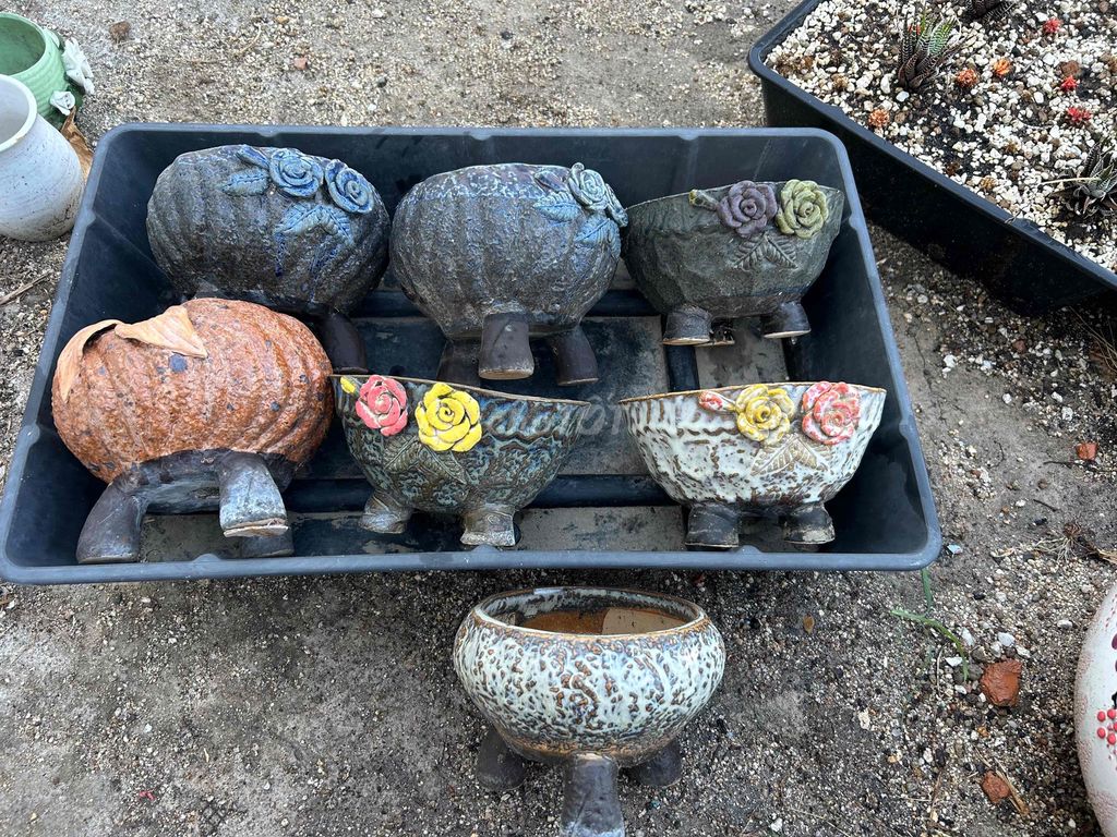 Chậu trồng cây gốm sứ Hàn Quốc. Mua bán Cây cảnh, đồ trang trí tại Thành phố Phan Rang-Tháp Chàm Ninh Thuận được đăng bởi Nguyễn Hùng hình 1