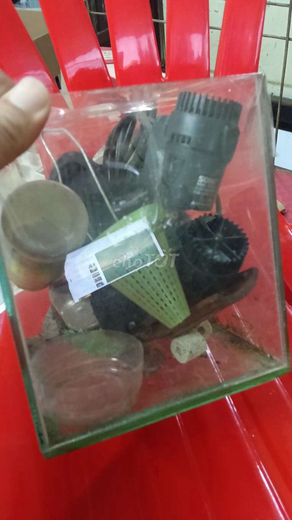 Bể cá mini Kính 15cm có Máy oxi. Mua bán Phụ kiện, Thức ăn, Dịch vụ tại Quận Tân Bình Tp Hồ Chí Minh được đăng bởi Hậu hình 1