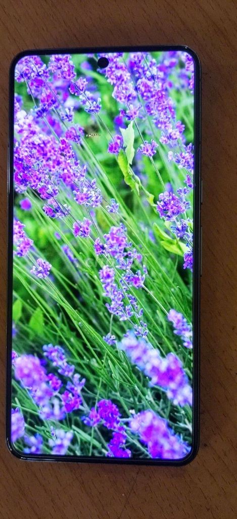 Google Pixel 8 Pro bán hoặc gl. Mua bán Điện thoại tại Quận Liên Chiểu Đà Nẵng được đăng bởi Hà Phương hình 1