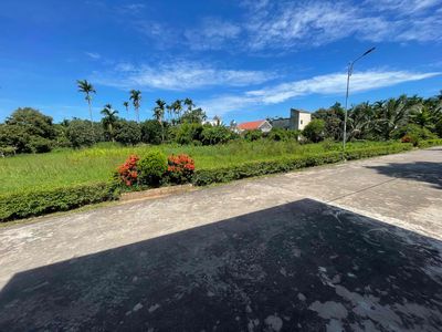 ĐẤT CHÍNH CHỦ XÃ HẢI PHÚ. Mua bán đất tại Huyện Hải Hậu Nam Định được đăng bởi Thành Đông