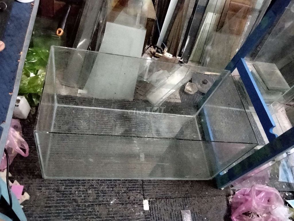 Hồ cá  70x35x35cm. Mua bán Phụ kiện, Thức ăn, Dịch vụ tại Quận 8 Tp Hồ Chí Minh được đăng bởi Núi hình 1