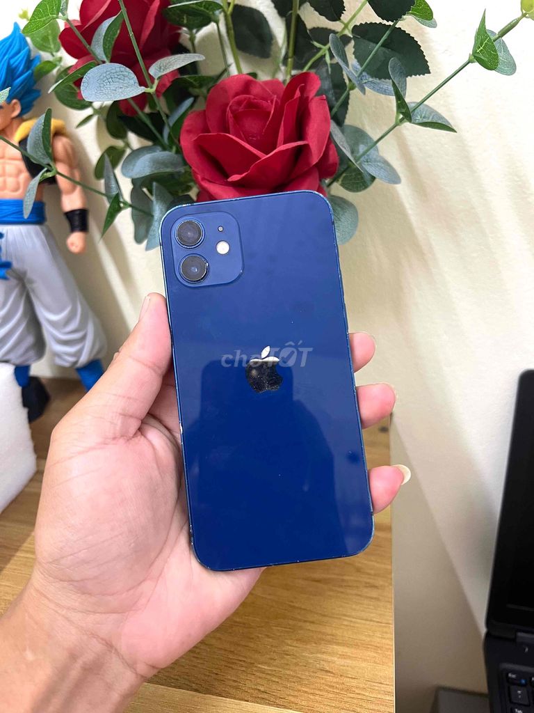 iPhone 12 64GB. Mua bán Điện thoại tại Thành phố Cà Mau Cà Mau được đăng bởi Thái Hoàng Vũ hình 1