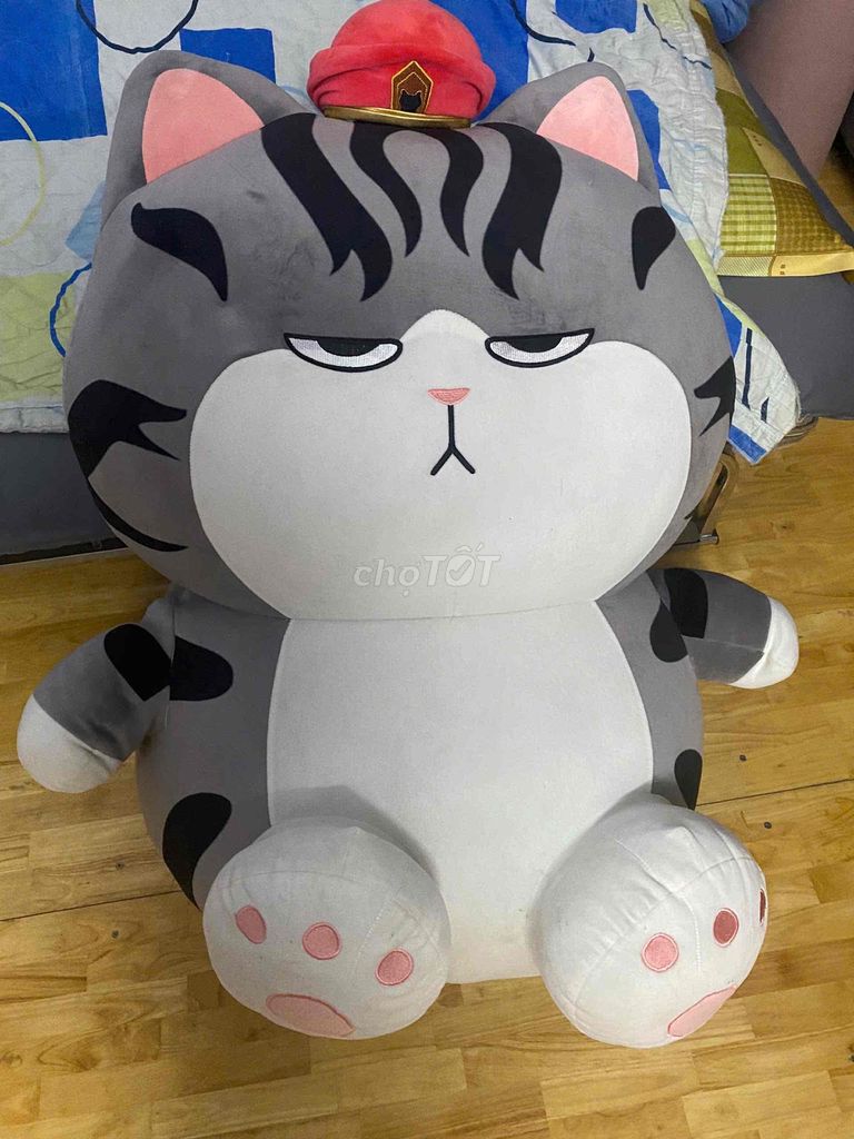 Mèo bông quàng thượng size to bự