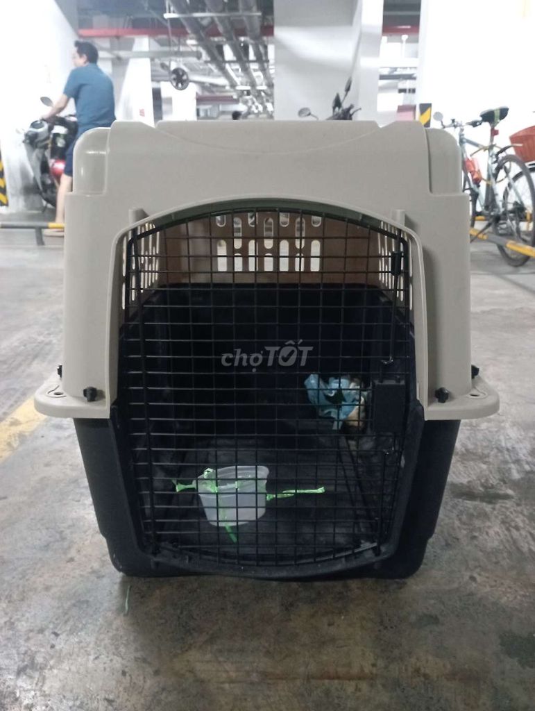 Chuồng vận chuyển chó nhựa. Mua bán Phụ kiện, Thức ăn, Dịch vụ tại Quận 8 Tp Hồ Chí Minh được đăng bởi Nguyễn Văn Cường hình 1