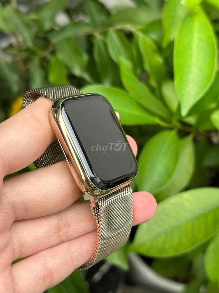 Apple Watch S8/41mm Viền Thép Gold New