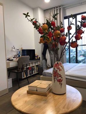 Rent · 1 bd · 30 м² · Quận 8, ул. Tạ Quang Bửu