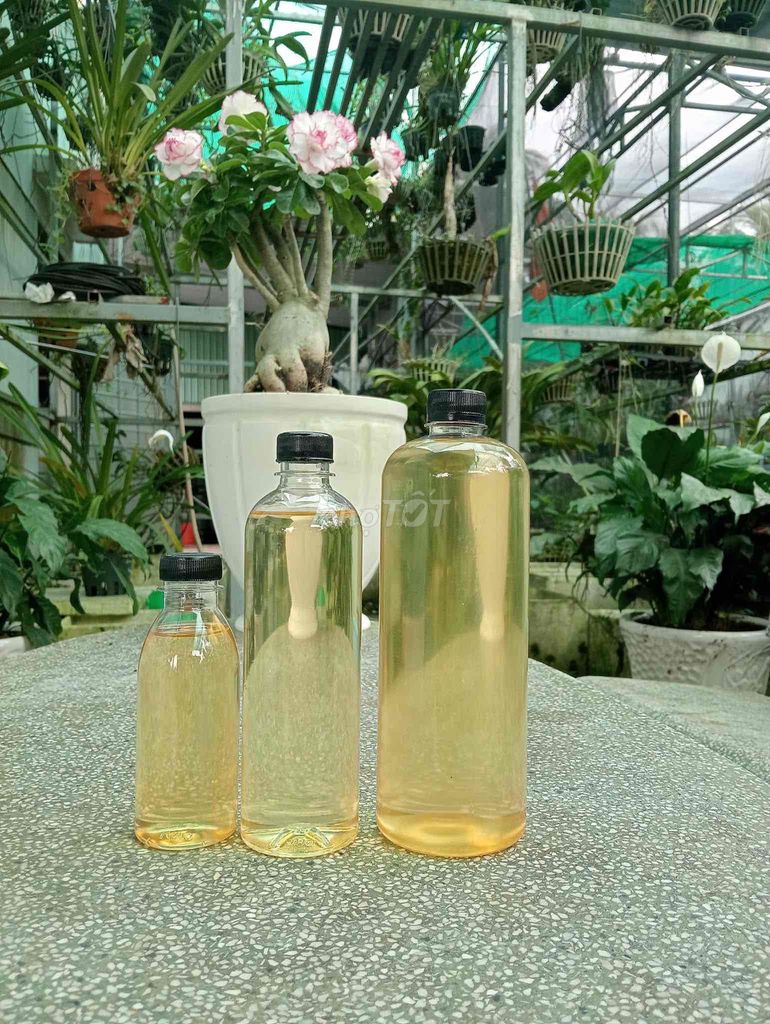 Dầu dừa nhà làm thủ công, dầu cực thơm và sánh min. Mua bán Đồ ăn, thực phẩm và các loại khác tại Quận 8 Tp Hồ Chí Minh được đăng bởi chị Thơ hình 1