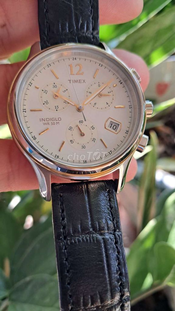 Đồng hồ Timex Thép không gỉ. Mua bán Đồng hồ tại Quận Hồng Bàng Hải Phòng được đăng bởi Đồng Hồ Si Tuyển Trường Đạt hình 1