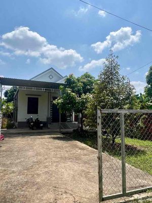 Bán nhà vườn 500m2 620Triệu gần chợ An Thái,Phú Giáo giá mềm đầu tư