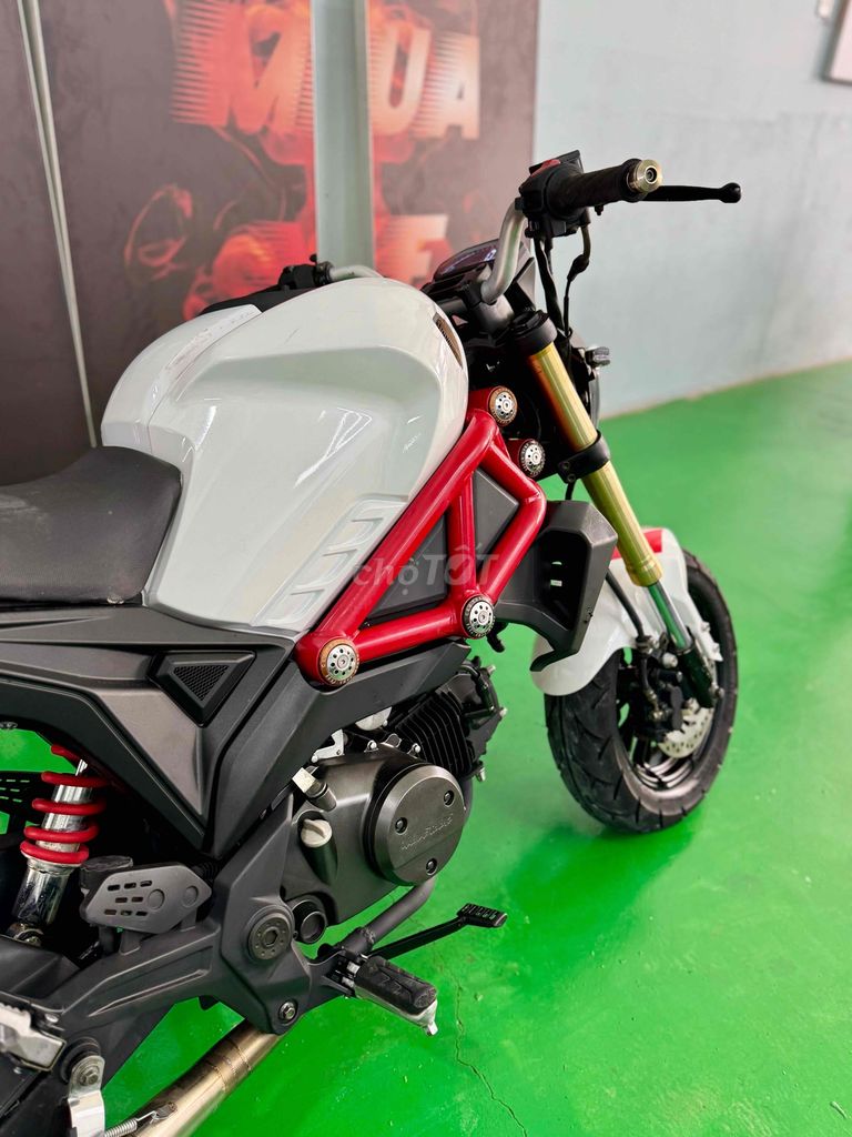 Ducati mini xe hiếm mới về, xe đẹp liền lạc , re. Mua bán Xe máy tại Thành phố Thủ Đức Tp Hồ Chí Minh được đăng bởi Cửa hàng Motor Xuân Bình  hình 5