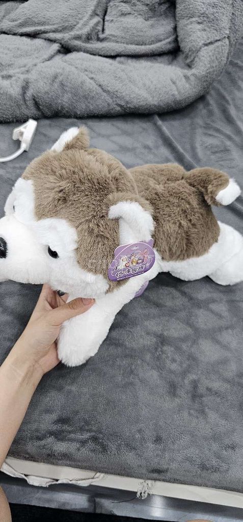 Thú nhồi bông Husky Nâu 40cm. Mua bán Sở thích khác tại Quận Hà Đông Hà Nội được đăng bởi Lung linh hình 1