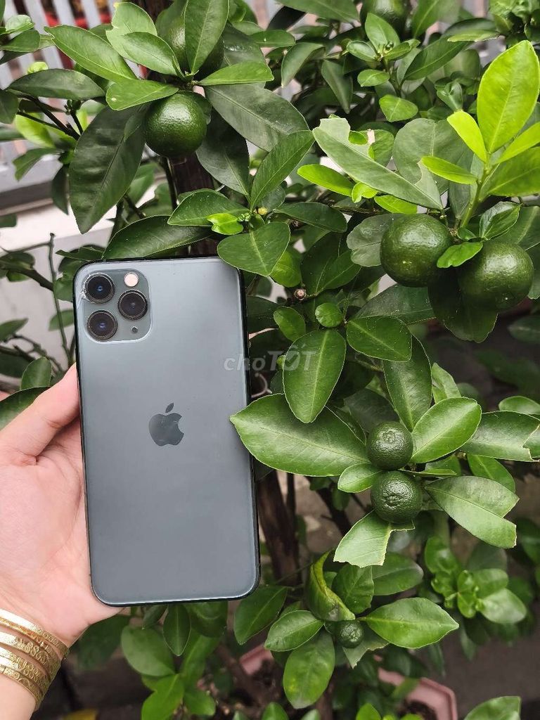 Apple iPhone 11 Pro 64GB Xám 98%. Mua bán Điện thoại tại Quận 10 Tp Hồ Chí Minh được đăng bởi Nguyễn Thị Mỹ An hình 1