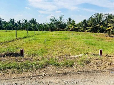 Cc cần bán lô đất vườn cách QL22 200m 819m2 giá 1ti2