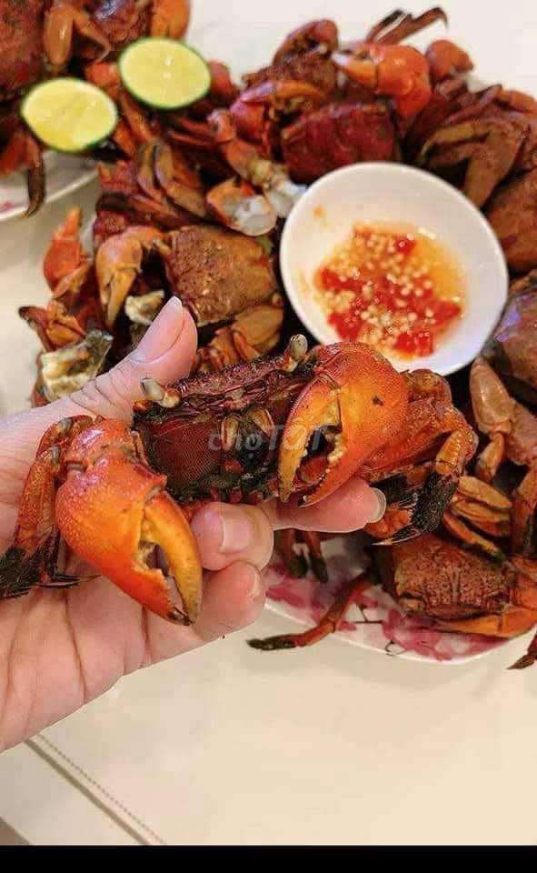 Bán BA khía Sống. Mua bán Đồ ăn, thực phẩm và các loại khác tại Quận Bình Tân Tp Hồ Chí Minh được đăng bởi Tăng Hoàng Nam  hình 2