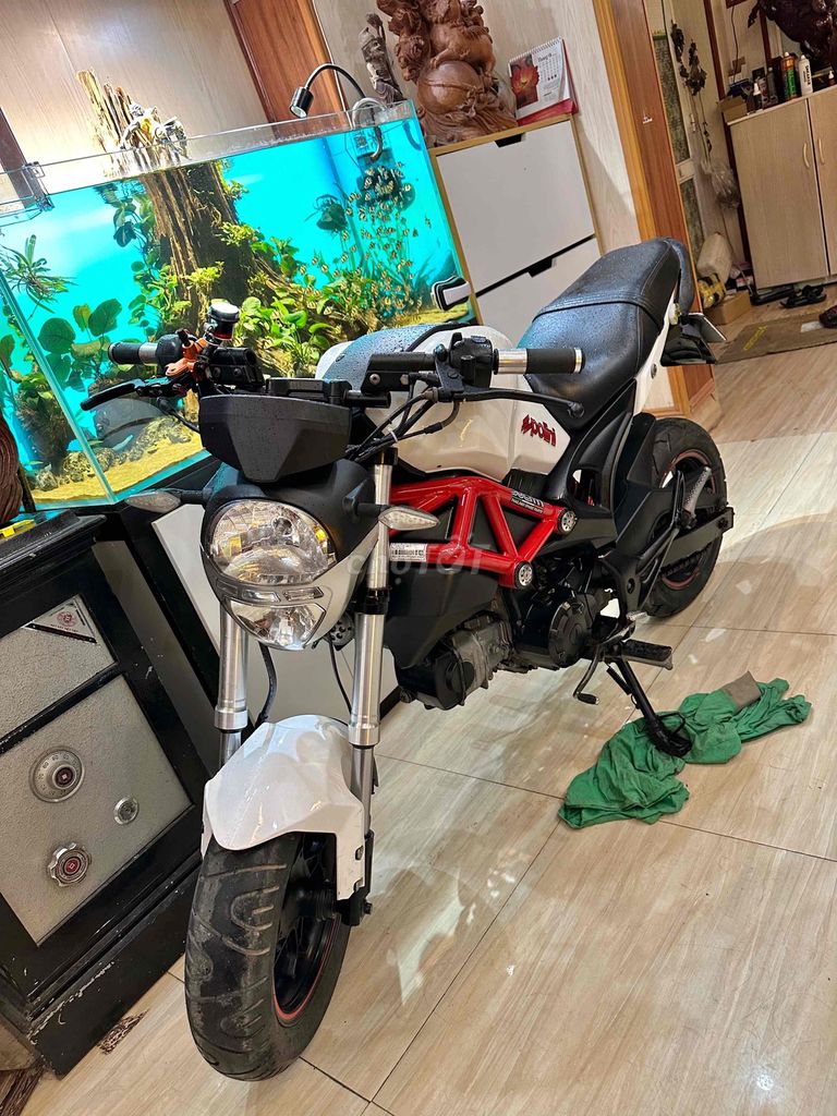 ducatti Monster Mini 110cc. Mua bán Xe máy tại Thành phố Nam Định Nam Định được đăng bởi xe máy Trần Trung Bil 7002 hình 3