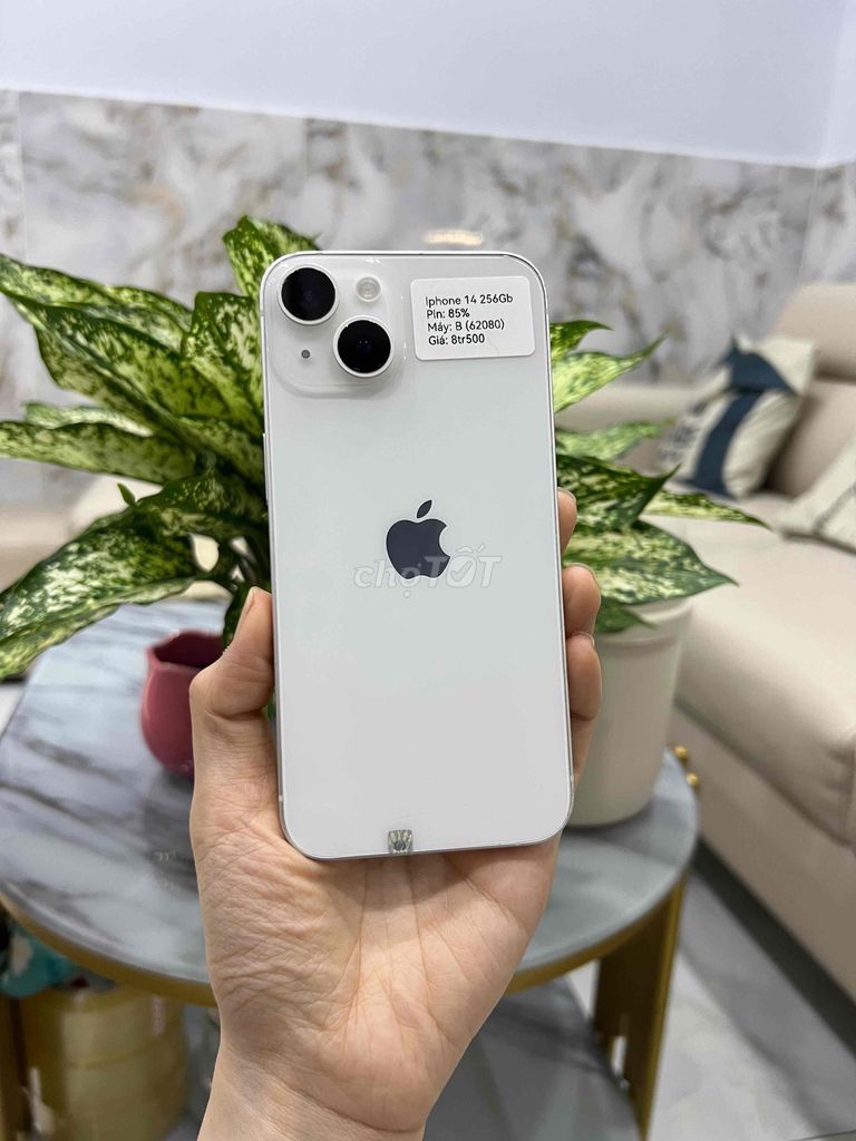 iPhone 14 thường 256GB Trắng Zin All Đẹp 98 Pin 85. Mua bán Điện thoại tại Huyện Hóc Môn Tp Hồ Chí Minh được đăng bởi SIRI STORE HCM hình 1