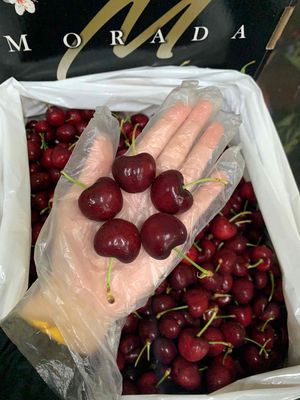🍒 Cherry Mỹ Morada size 9,5 ✅. Mua bán Đồ ăn, thực phẩm và các loại khác tại Quận Tân Phú Tp Hồ Chí Minh được đăng bởi NGỌC DUYÊN