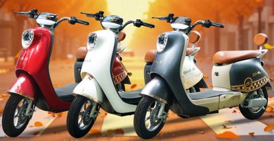 AIE SMILE PHIÊN BẢN ĐẶC BIỆT. Mua bán Xe điện tại Huyện Long Thành Đồng Nai được đăng bởi MR THANH