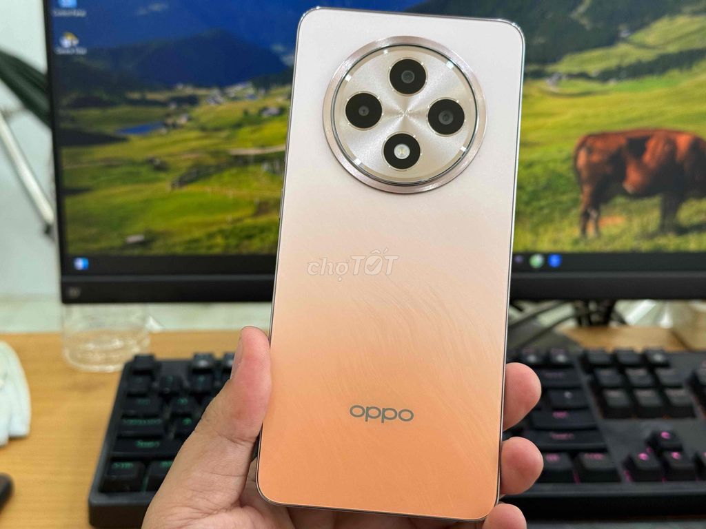 Oppo Reno 12F 5G Reno12 F VN TGDĐ Màu Đẹp