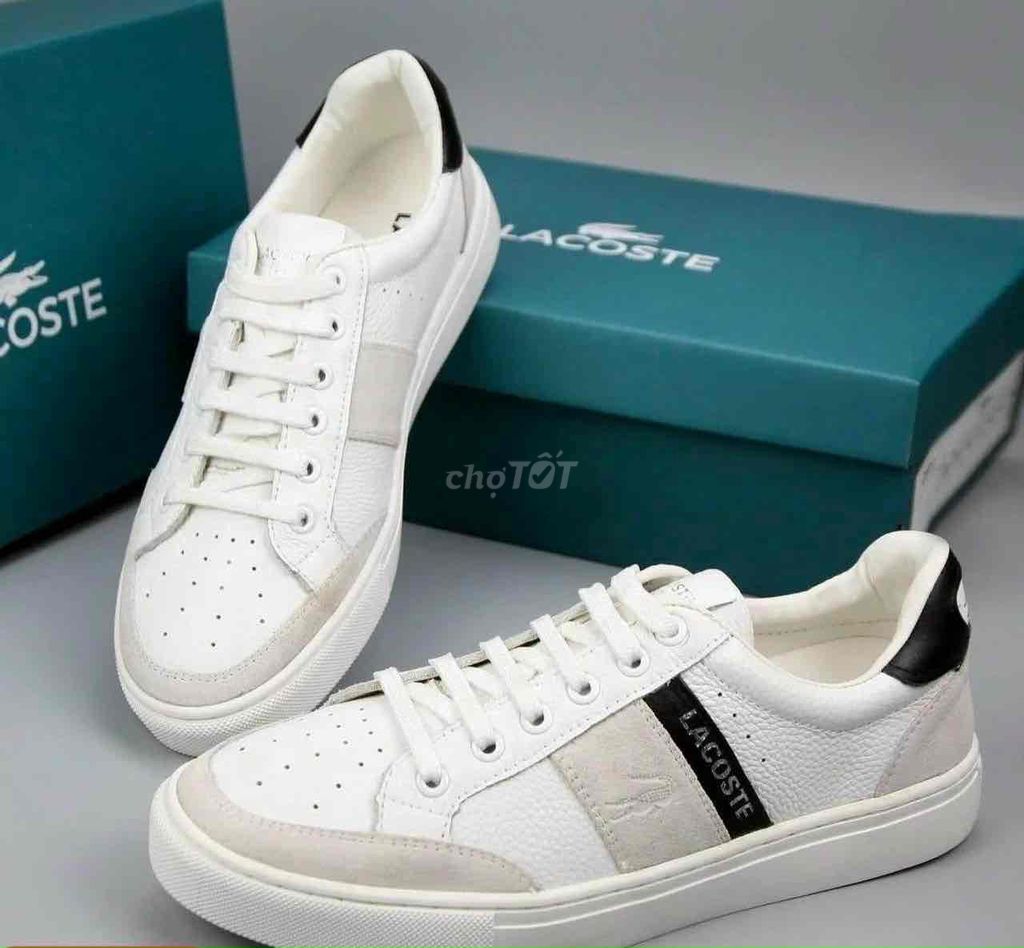 Giày ba ta Lacoste chất