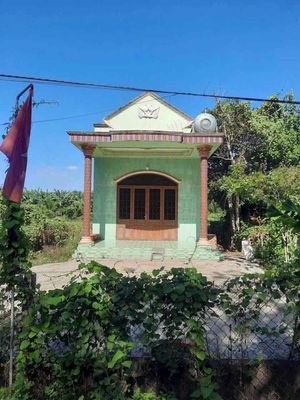 CHÚ 6 LỚN TUỔI KHÔNG CHĂM ĐƯỢC VƯỜN BÁN VƯỜN MÍT VÀ NHÀ