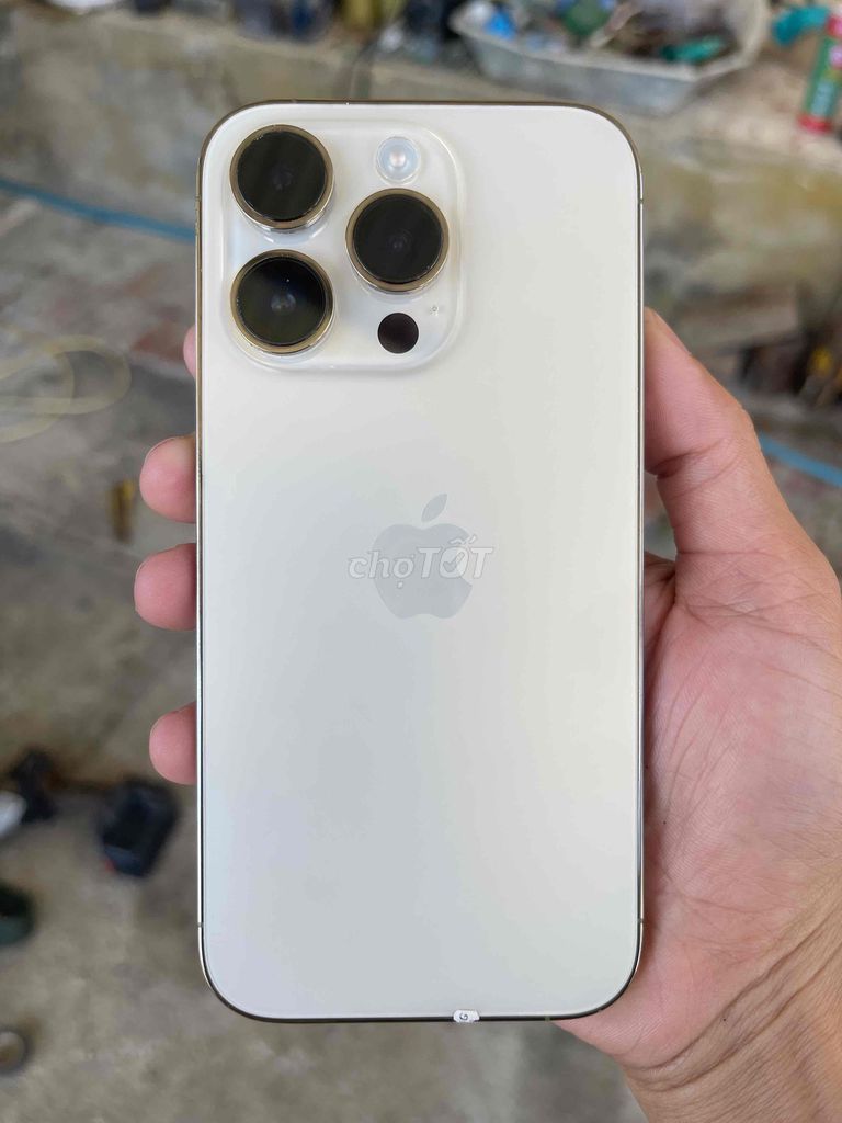 Apple iPhone 14 Pro 128GB Vàng Mới, nguyên seal. Mua bán Điện thoại tại Thị xã Đông Hòa Phú Yên được đăng bởi Tý Chánh hình 1